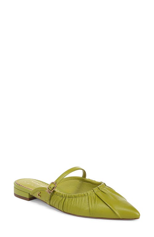 Shop Circus Ny By Sam Edelman Larissah Pointed Toe Mule In Cactus