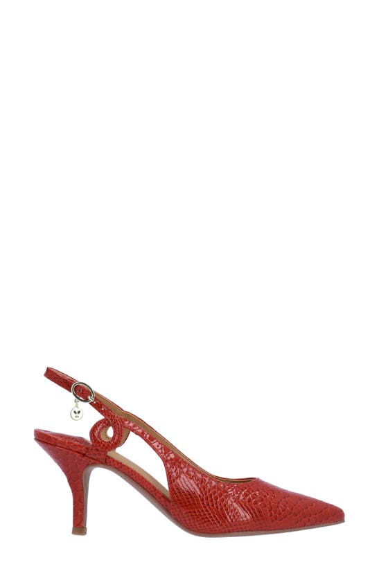 Shop J. Reneé Tindra Pointed Toe Slingback Pump In Red