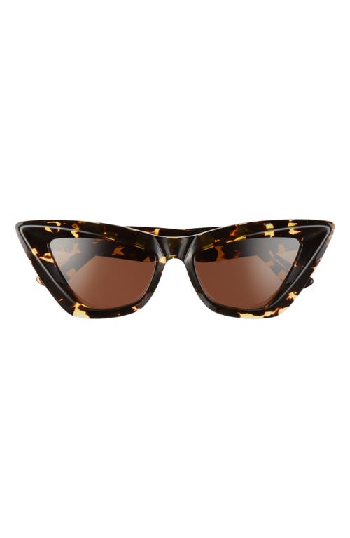 Bottega Veneta 53mm Cat Eye Sunglasses In Brown