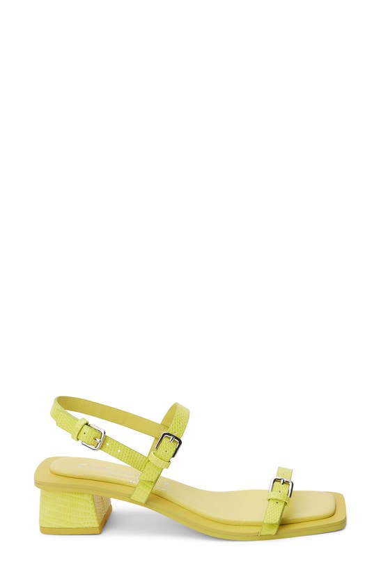 Shop Coconuts By Matisse Maya Slingback Sandal In Lime Lizard