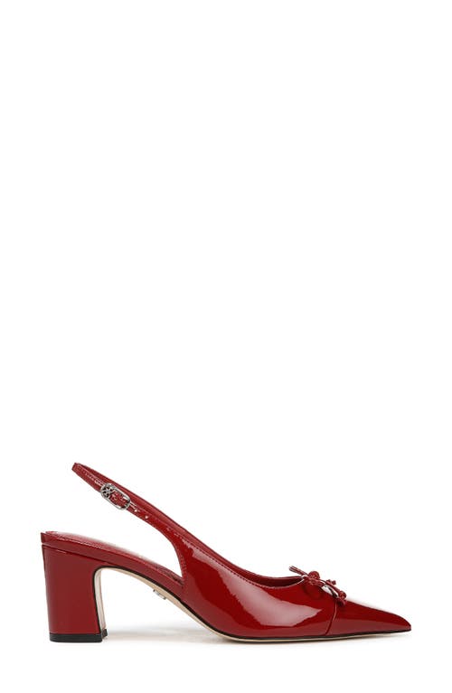 Shop Sam Edelman Willette Slingback Pointed Cap Toe Pump In Deep Scarlet