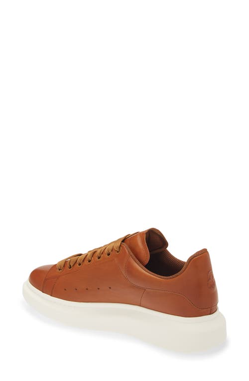 Alexander Mcqueen Oversized Sneaker In Faggio