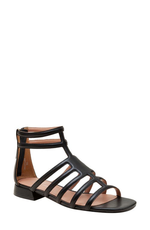 Linea Paolo Lital Strappy Sandal at Nordstrom,