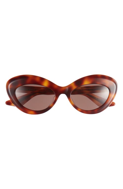 Oliver Peoples x KHAITE 1968C 53mm Oval Sunglasses in Dark Brown at Nordstrom