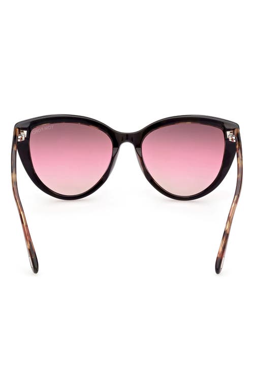 Shop Tom Ford Isabella-02 56mm Gradient Cat Eye Sunglasses In Sblk/brng