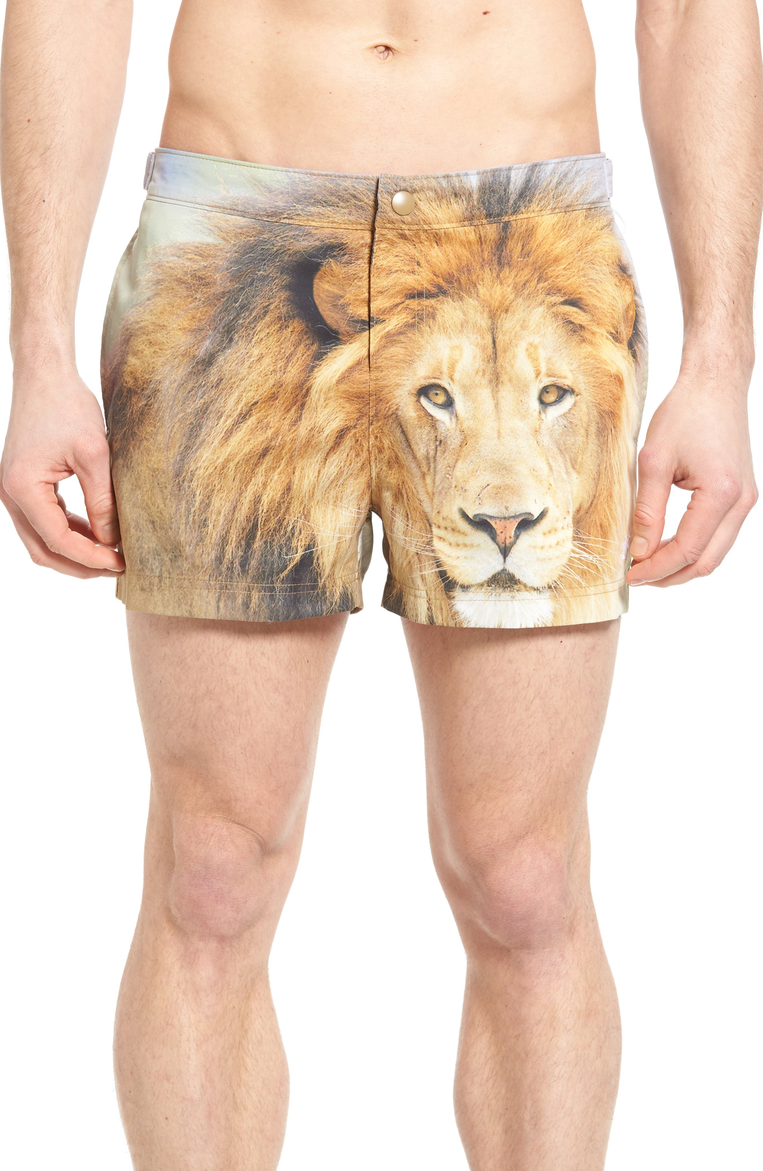 lion swim trunks