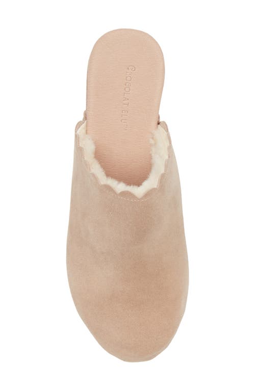 Shop Chocolat Blu Gareth Platform Mule In Latte Suede-shearling