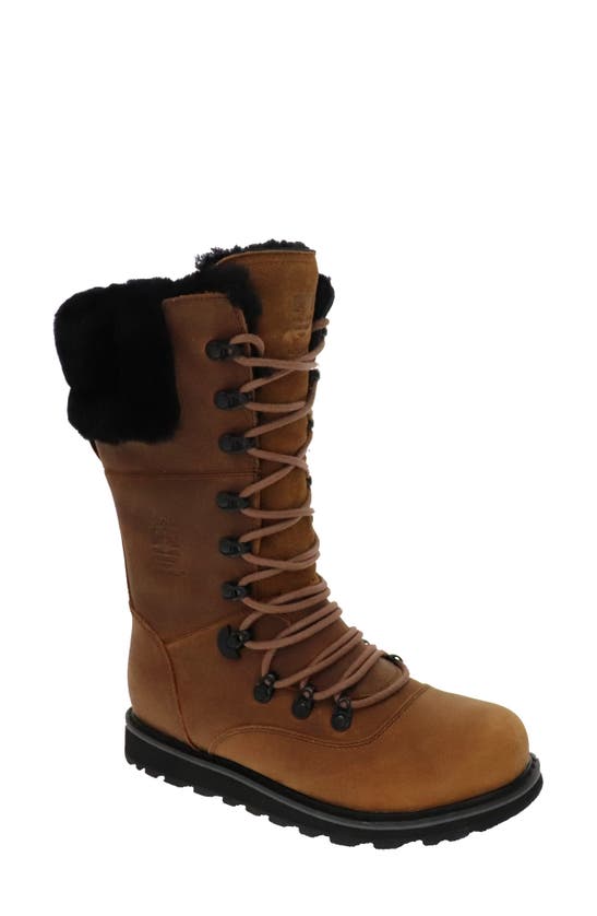 Royal Canadian Castlegar Waterproof Genuine Shearling Lined Mid Calf Boot In Cognac