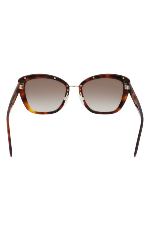 Shop Longchamp Roseau 53mm Gradient Rectangle Sunglasses In Havana/brown