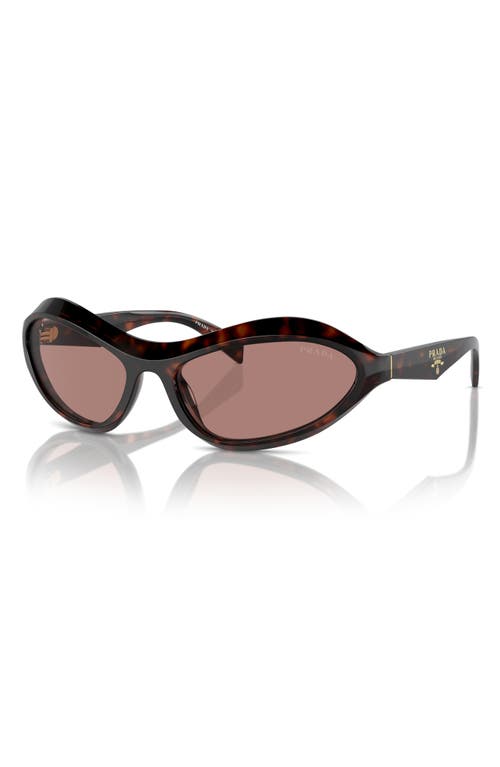 Prada 61mm Oval Sunglasses In Lite Brown