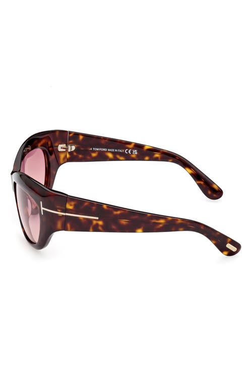 Shop Tom Ford Brianna 55mm Gradient Cat Eye Sunglasses In Classic Havana/purple Pink