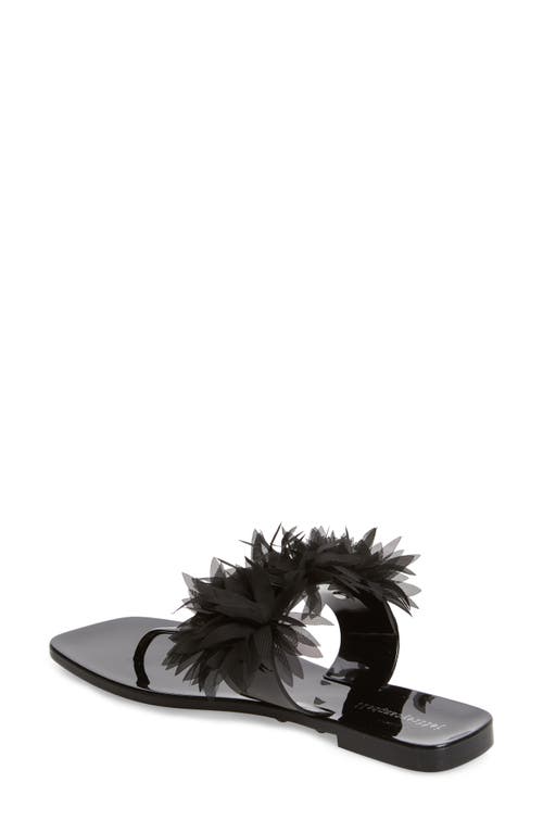 Jeffrey Campbell Pollinate T-strap Sandal In Black Shiny