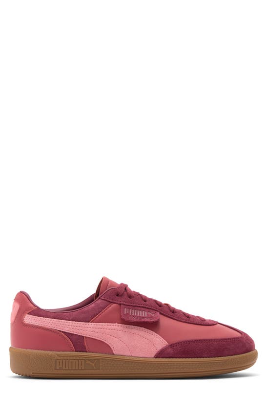 Shop Puma Palermo Sneaker In Regal Red-passionfruit-red