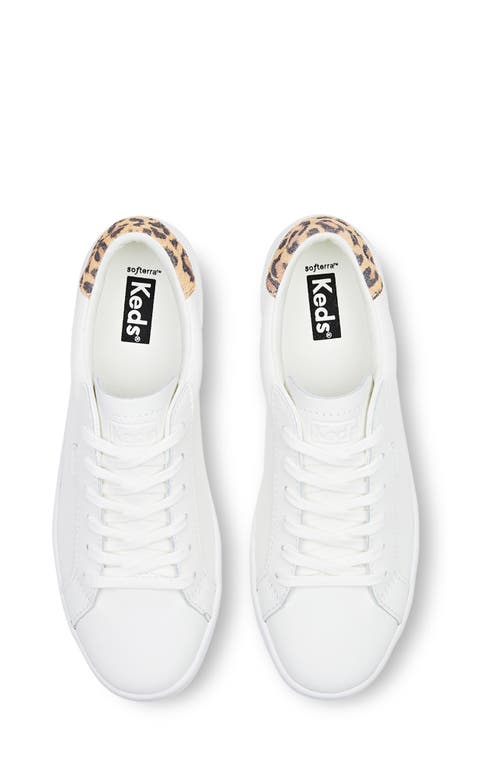 Shop Keds ® Ace Leo Leather Sneaker In White/tan