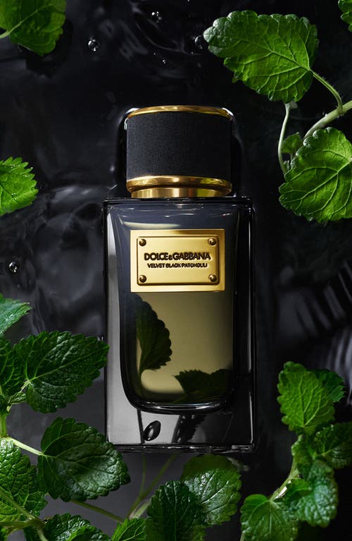 Dolce & Gabbana Dolce&gabbana Velvet Black Patchouli Eau De Parfum In No Color