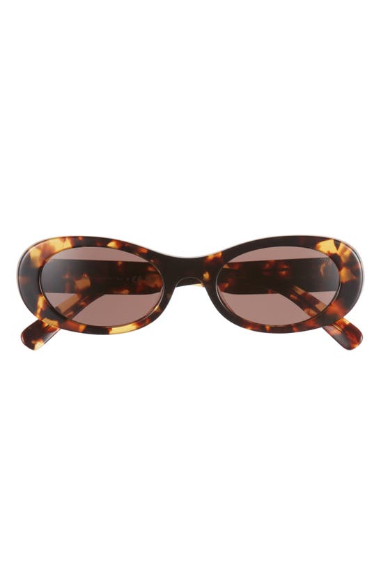 Shop Miu Miu 50mm Oval Sunglasses In Havana