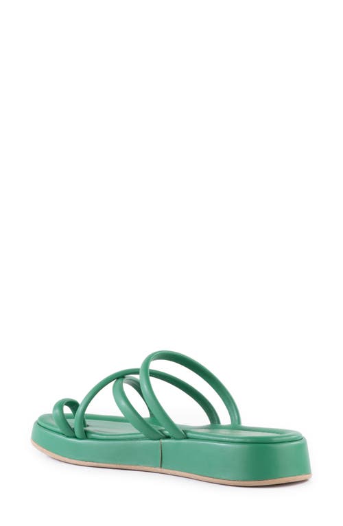 Shop Seychelles Rule The World Platform Wedge Slide Sandal In Green