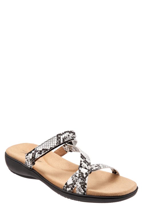 Trotters Raja Slide Sandal Black White Snake at Nordstrom,