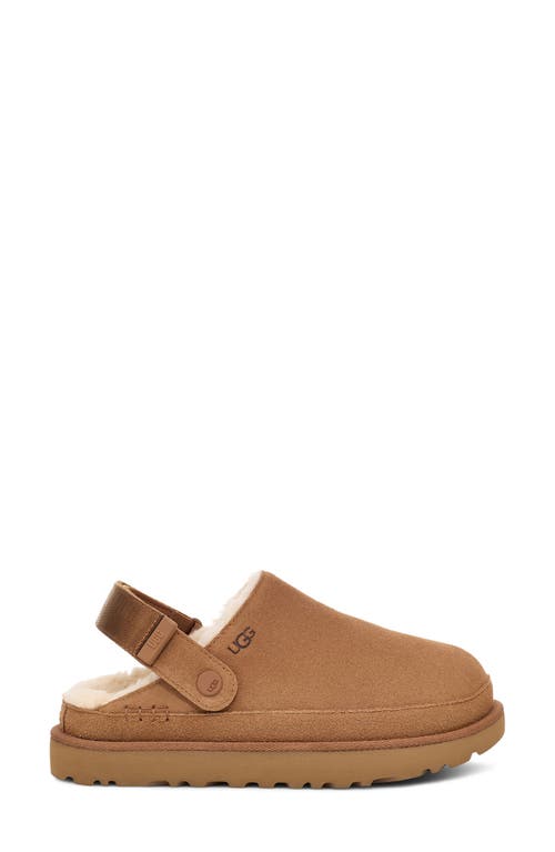 Shop Ugg(r) Goldenstar Cozy Clog In Chestnut