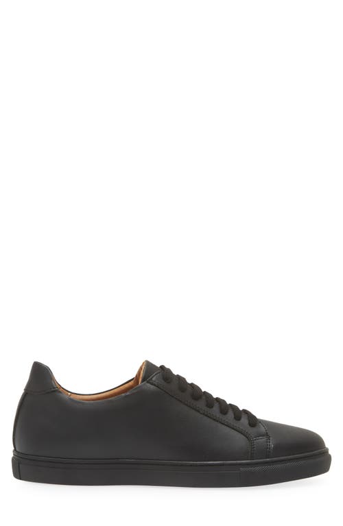 Bruno Magli Daniel Low Top Sneaker In Black/black