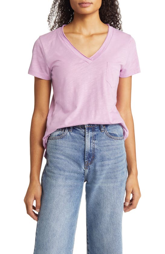 Caslon Short Sleeve V-neck T-shirt In Purple Bloom