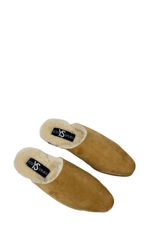 Yosi Samra Zoe Genuine Shearling Lined Mule In Whiskey