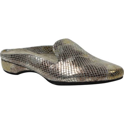J. Renee Chesir Mule, Metallic