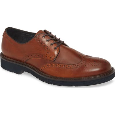 Johnston & Murphy Kinley Wingtip, Brown