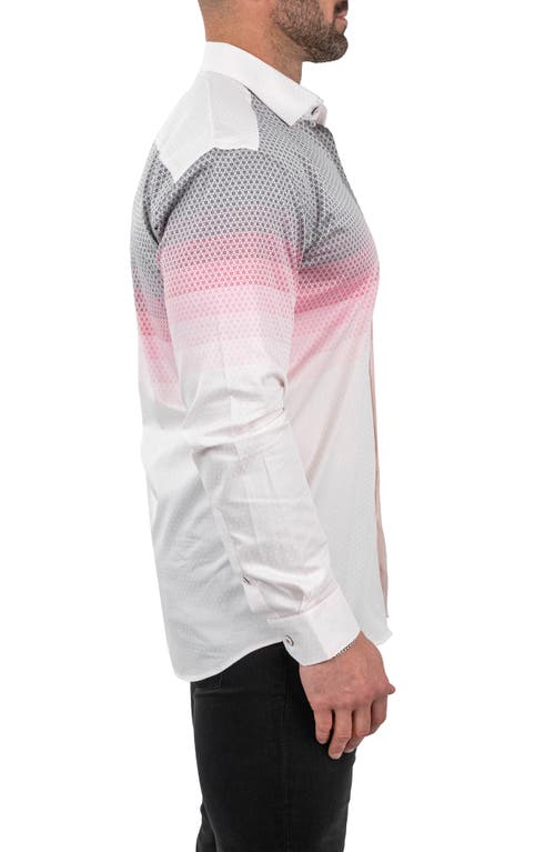 Maceoo Fibonacci Jacqdegrade Pink Contemporary Fit Button-up Shirt In Pink