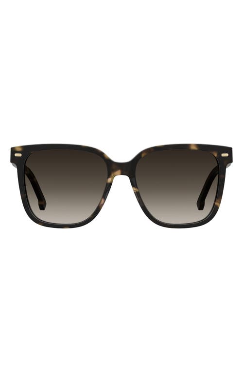 Carrera Eyewear 55mm Rectangular Sunglasses In Havana/brown Gradient