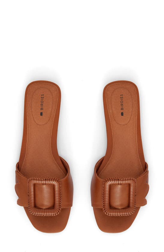 Shop Birdies Kiwi Slide Sandal In Cognac Leather