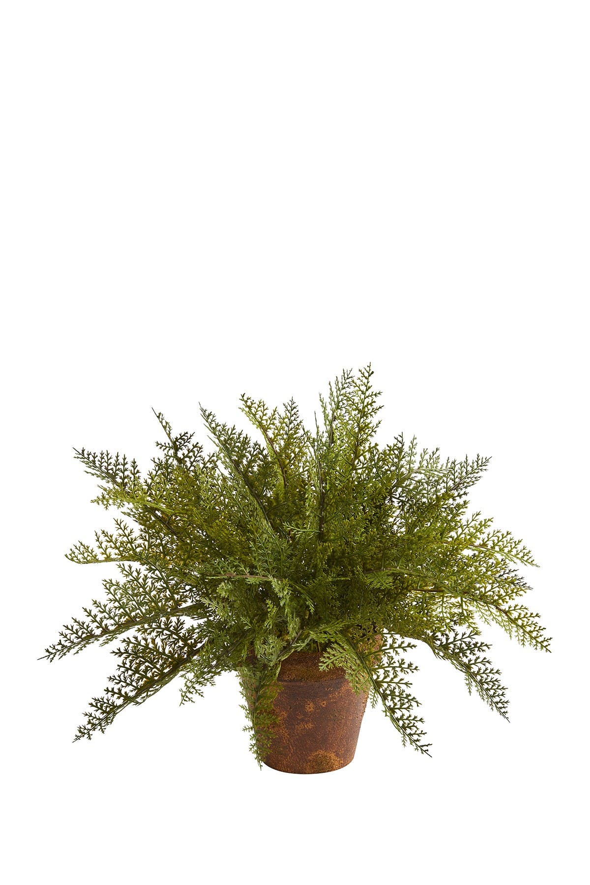 Nearly Natural 19in Maiden Hair Fern Artificial Plant In Decorative Planter Nordstrom Rack