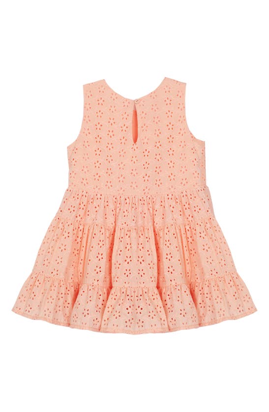 Shop Mabel + Honey Kids' Amara Eyelet Embroidered Dress In Pink