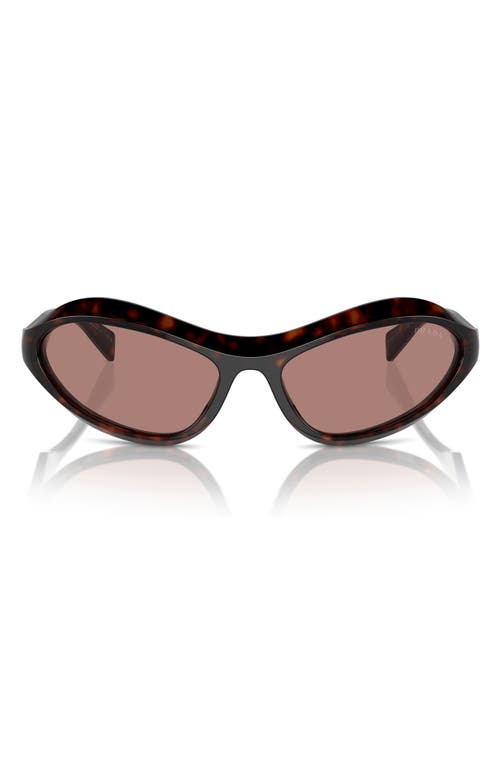 Prada 61mm Oval Sunglasses In Lite Brown