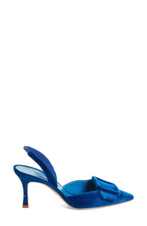 Manolo Blahnik Maysli Suede Buckle Halter Pumps In Blue