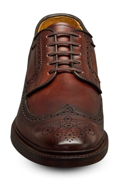 Allen Edmonds Mason Wingtip Derby In Chili