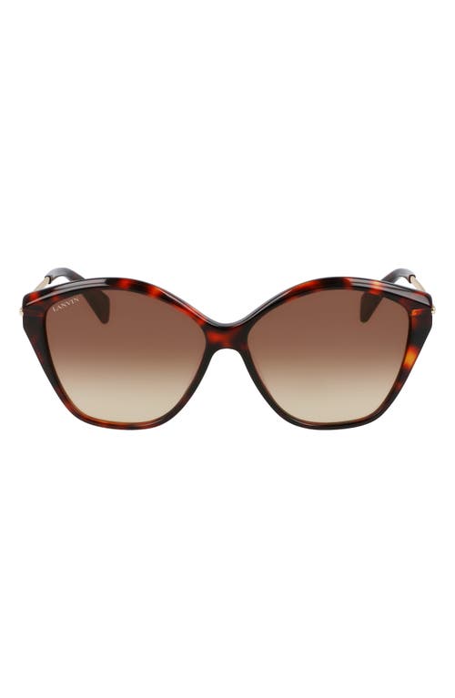 Lanvin Babe 59mm Gradient Cat Eye Sunglasses in Havana Red
