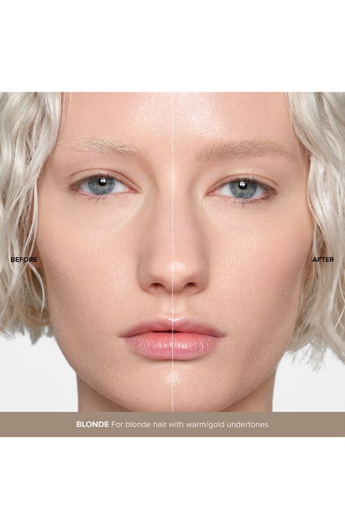 Anastasia Beverly Hills Volumizing Tinted Brow Gel In Blonde