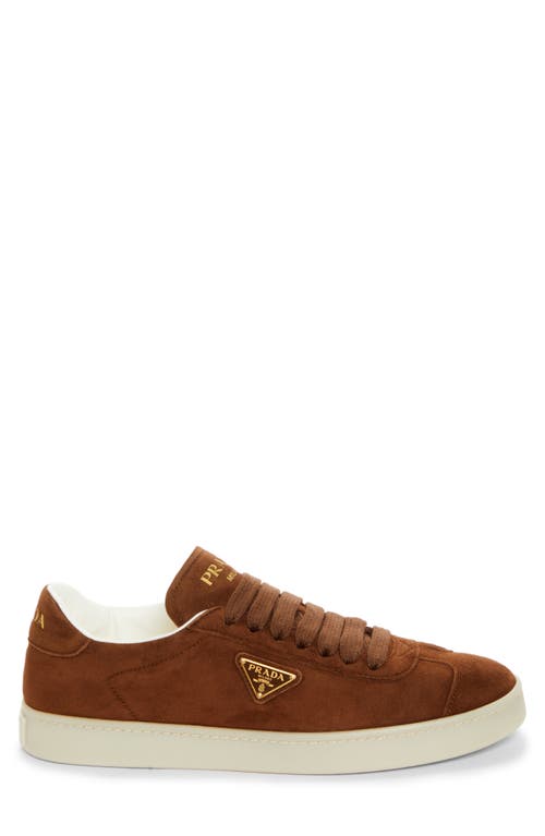 Prada Lane Triangle Logo Low Top Sneaker In Rovere