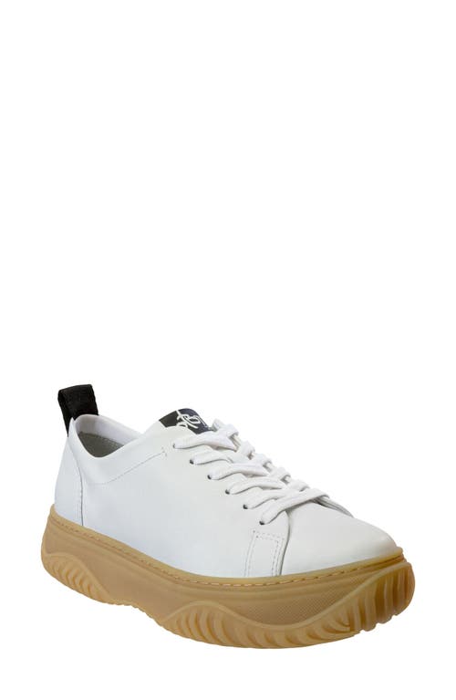 Pangea Low Top Sneaker in White