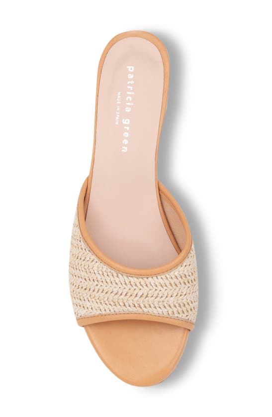 Shop Patricia Green Sienna Raffia Slide Sandal In Beige