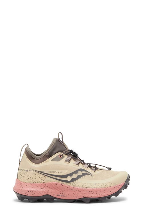 Shop Saucony Peregrine 13 Running Shoe In St Desert/umber