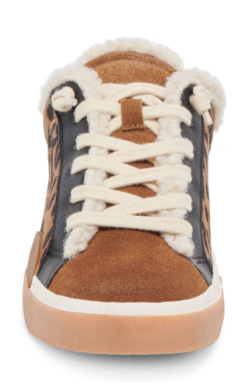 Shop Dolce Vita Zantel Faux Shearling Lined Slip-on Sneaker In Leopard Suede