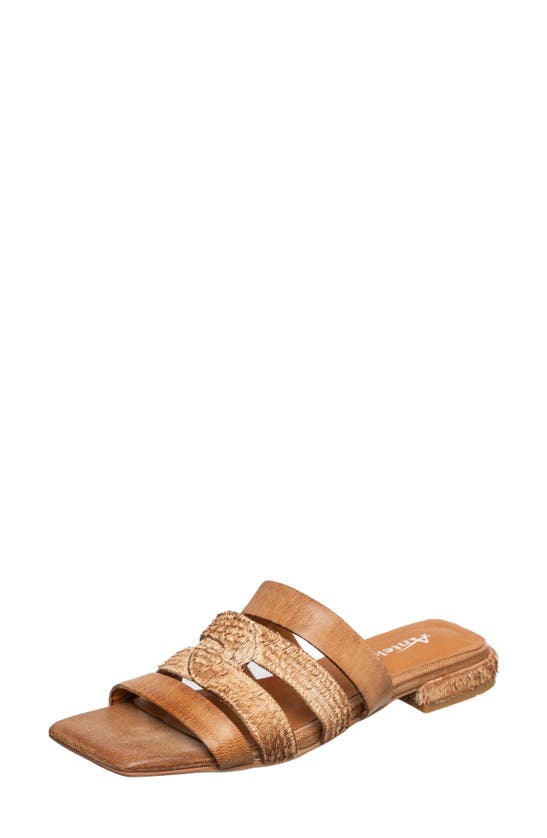 Shop Antelope Adalyn Slide Sandal In Taupe Leather