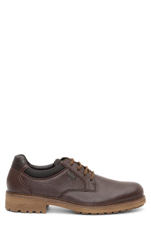Ara Farren Waterproof Plain Toe Derby In Brown