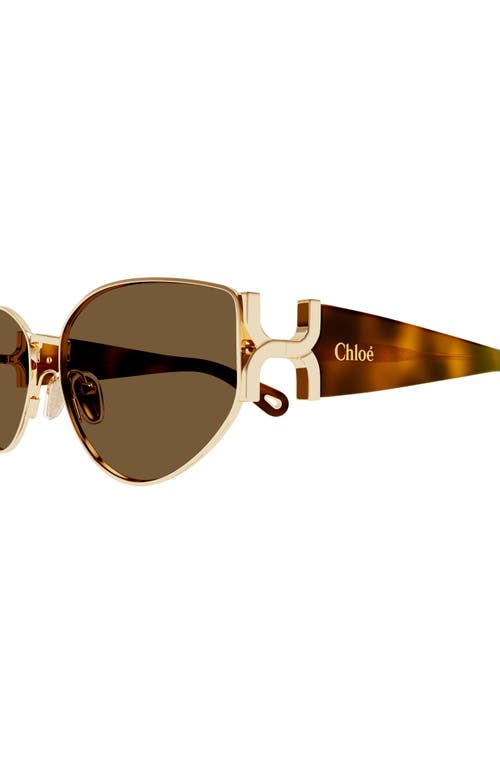 Shop Chloé 59mm Panthos Sunglasses In Gold