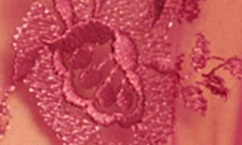Rya Collection Darling Lace Wrap In Lipstick