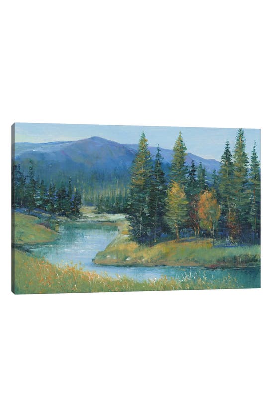 Icanvas Trout Stream Ii By Tim Otoole Canvas Wall Art In Green Mountain Valley