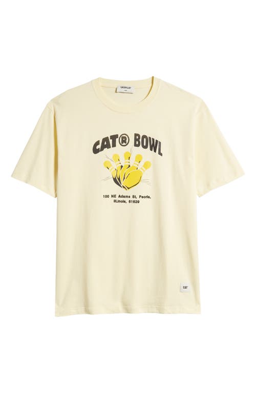 Shop Cat Wwr Strike Cotton Graphic T-shirt In Mellow Yellow