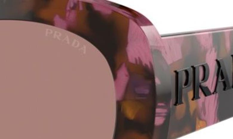 Shop Prada 55mm Oval Sunglasses In Pink/ Brown Havana